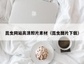 鄂州昆虫网站高清照片素材（昆虫图片下载）