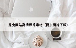 鄂州昆虫网站高清照片素材（昆虫图片下载）